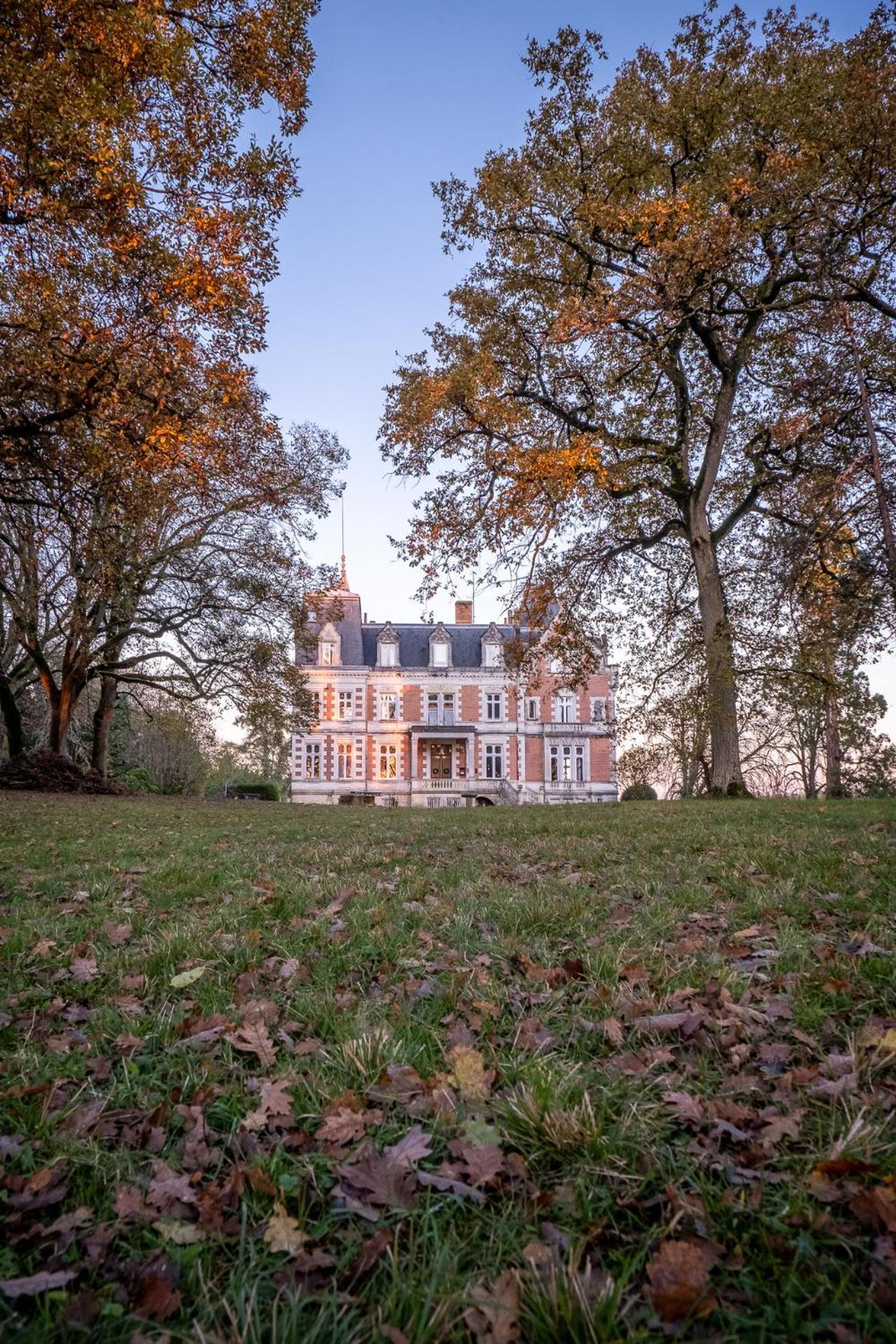 Chateau De L'Aubriere - Teritoria La Membrolle-sur-Choisille Buitenkant foto