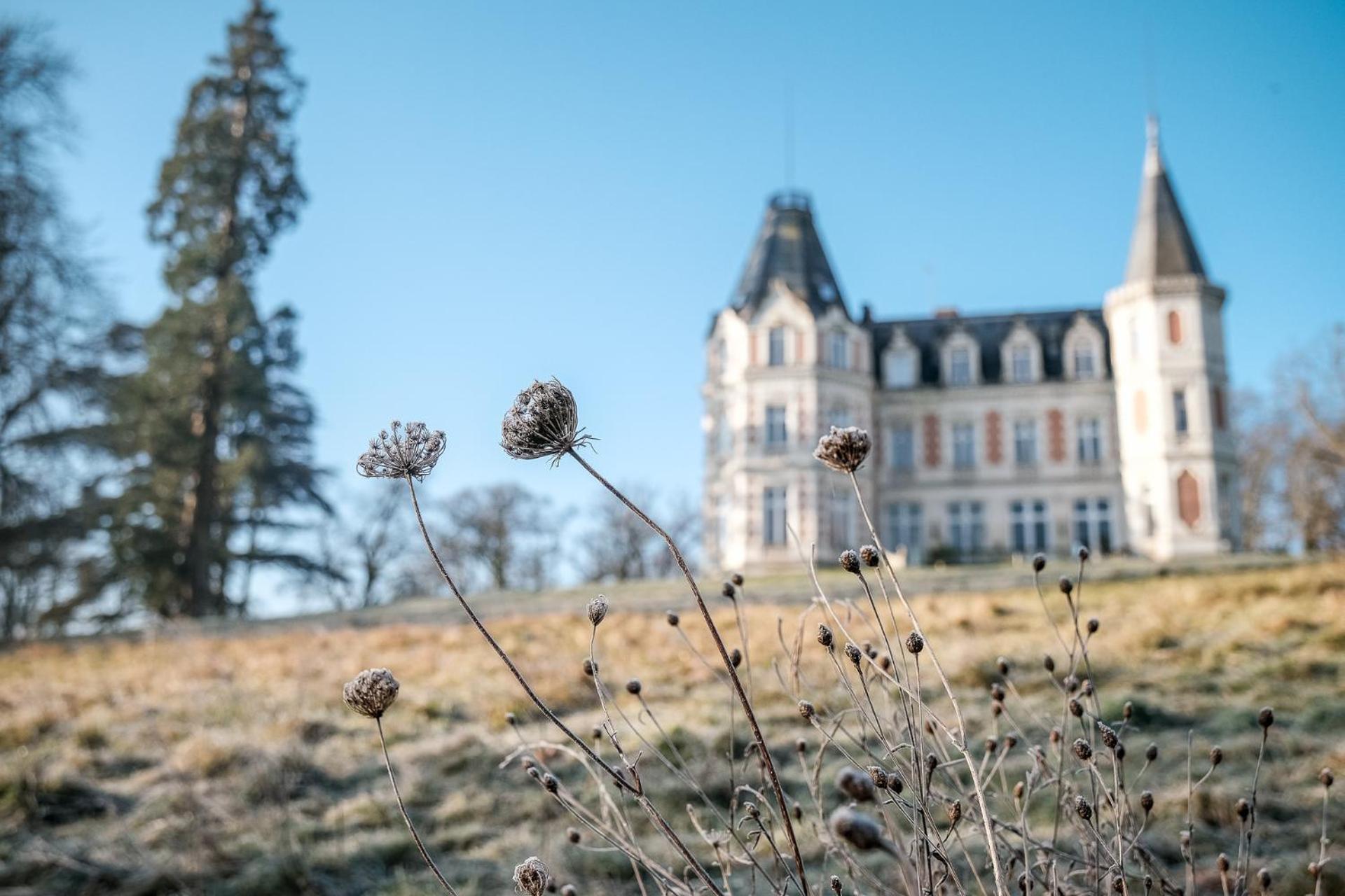 Chateau De L'Aubriere - Teritoria La Membrolle-sur-Choisille Buitenkant foto