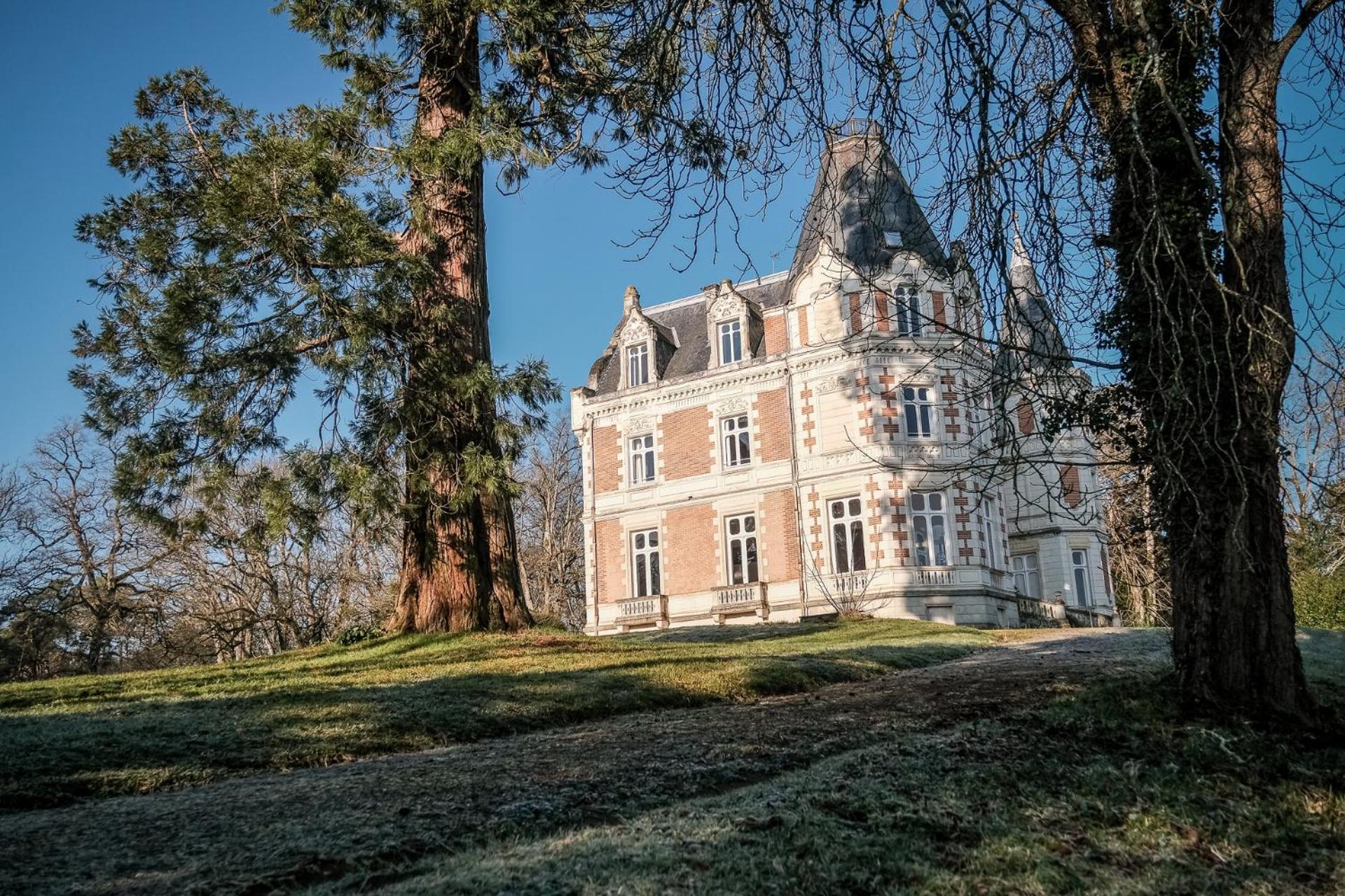Chateau De L'Aubriere - Teritoria La Membrolle-sur-Choisille Buitenkant foto